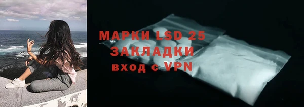 индика Осташков